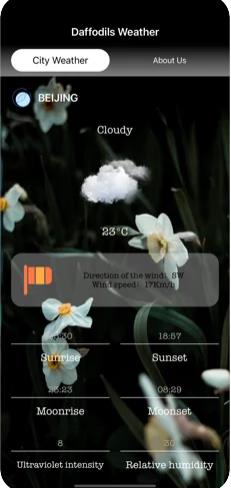 Daffodils Weather天气app下载-Daffodils Weather天气app最新版下载V1.1