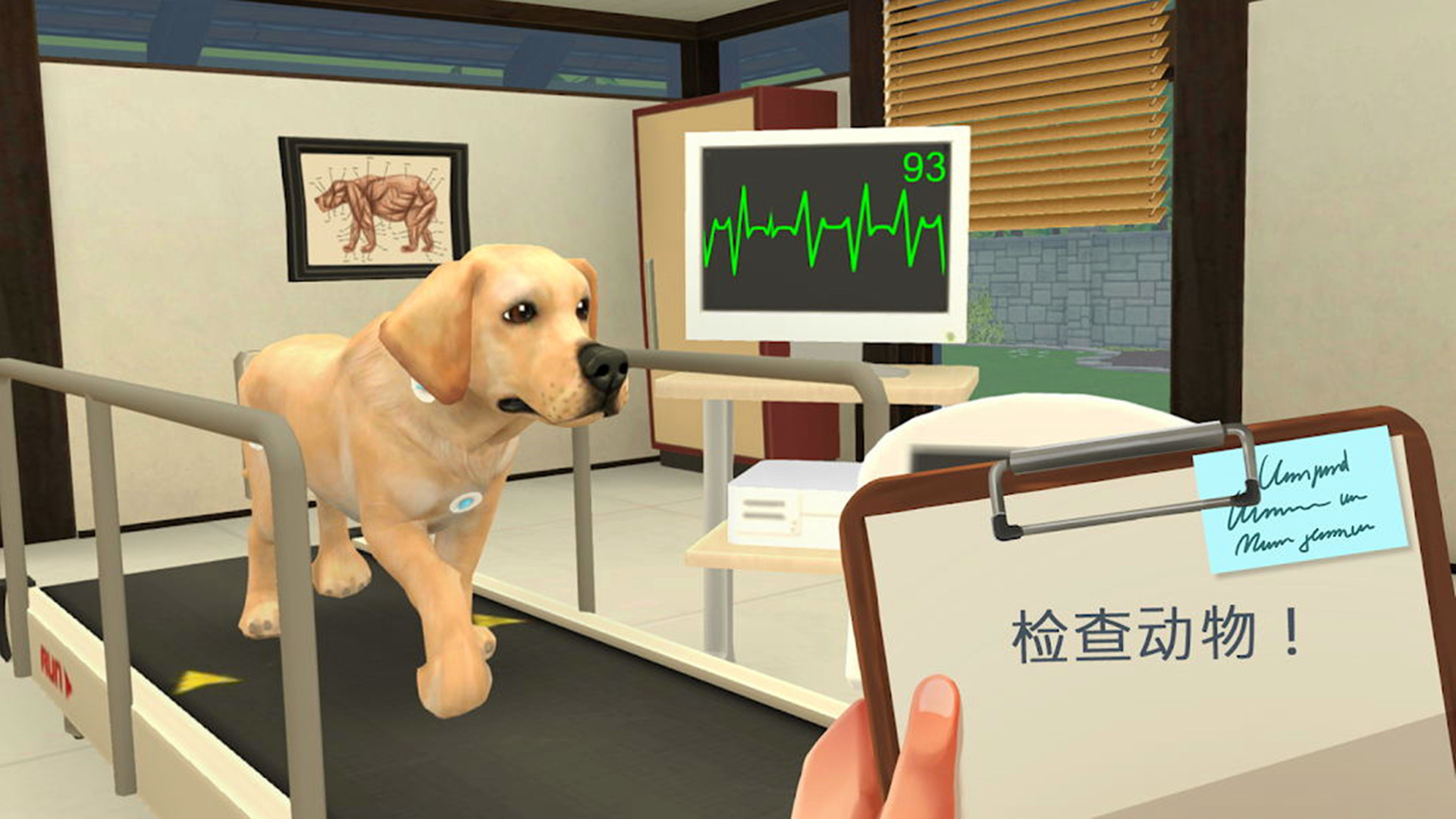 宠物救助模拟器手游下载-宠物救助模拟器游戏免费下载v1.1.1