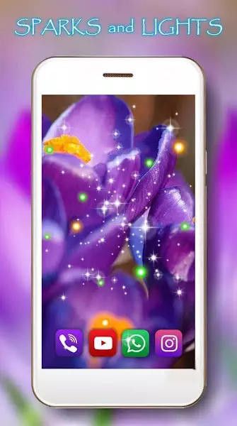 番红花之春app下载