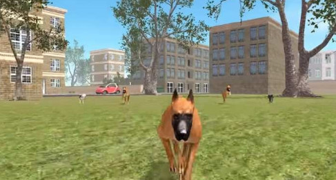 ģƽ