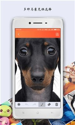 tecogan���������ֻ���