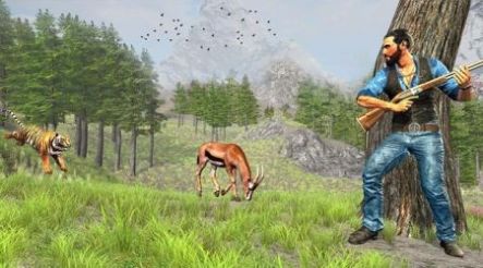 丛林动物狩猎免费中文下载-丛林动物狩猎手游免费下载