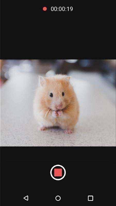 �ɱ佹�������׿���ֻ���������-�ɱ佹������޹���app����