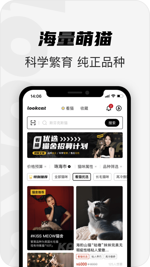 ��è������app����-��è��Ѱ����ذ�װ