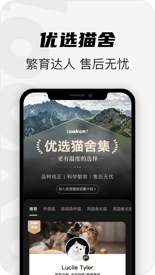 ��è������app����-��è��Ѱ����ذ�װ