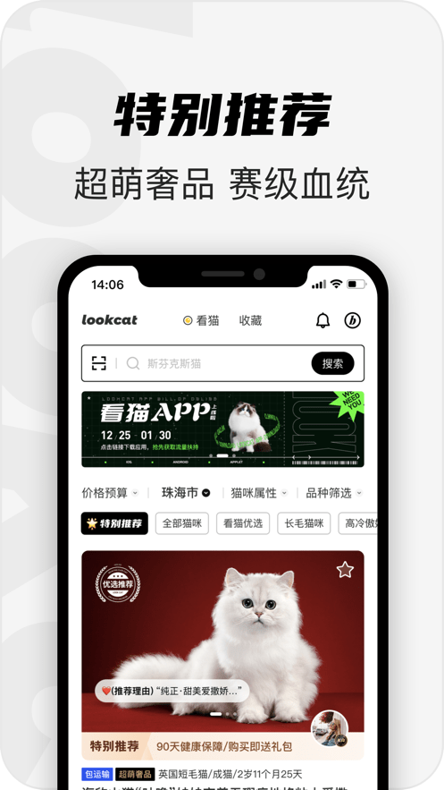 ��è������app����-��è��Ѱ����ذ�װ