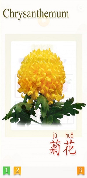 ����ֲ�ﰲ׿���ֻ���������-����ֲ���޹���app����