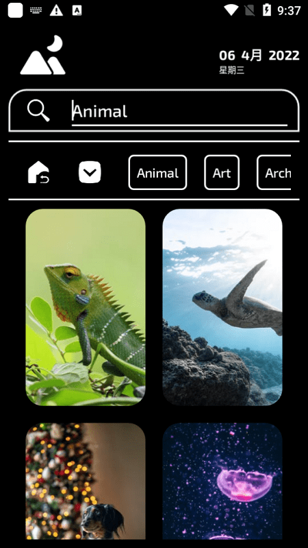wallioapp���°�����-wallio�ֻ���ˬ������