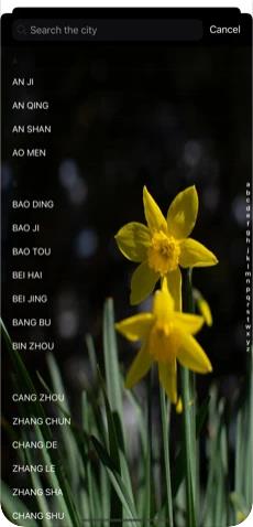 Daffodils Weatherapp-Daffodils Weatherapp°V1.1