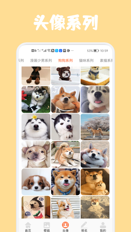 ڴֻֽapp