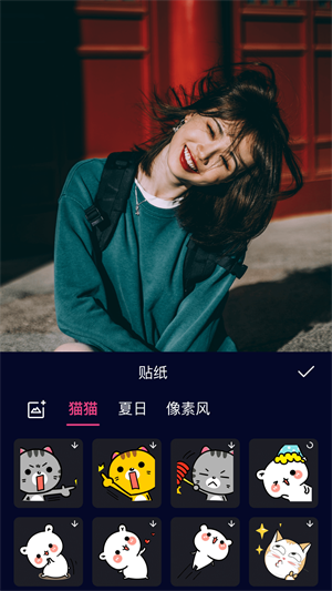 ������Ƶ����