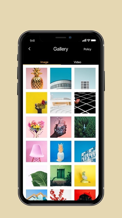 iCameravֻapp