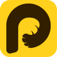 צapp