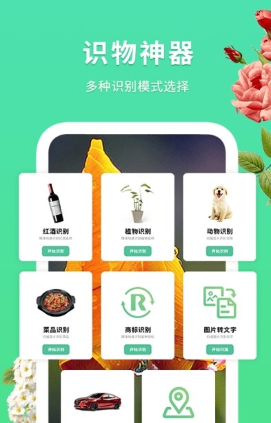 ʶֻapp