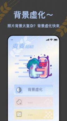 ֻapp