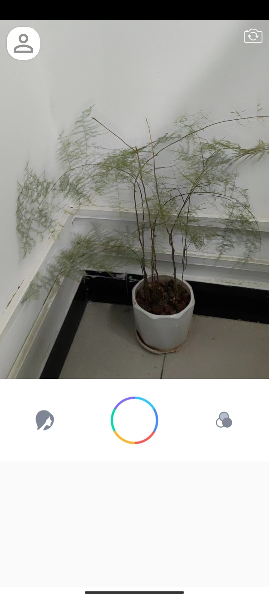 ֻapp