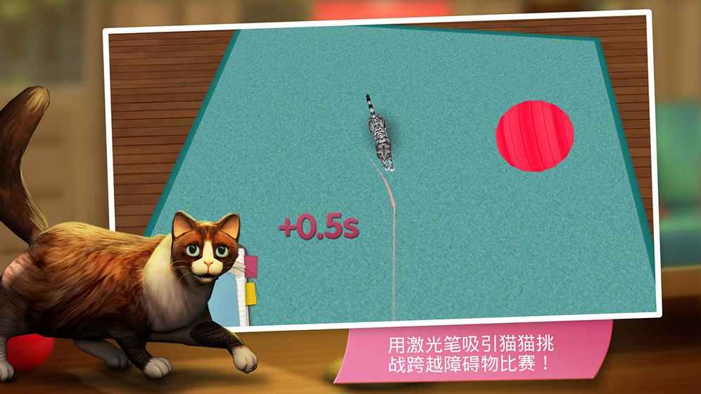 猫咪宾馆手游app