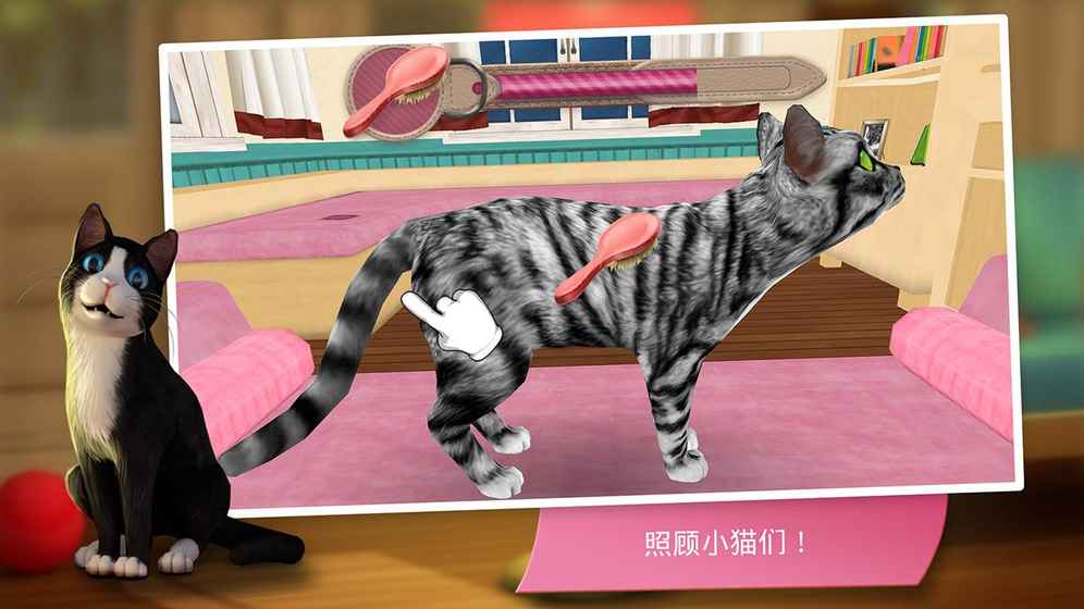 猫咪宾馆手游app