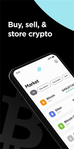 ˫����Gemini������