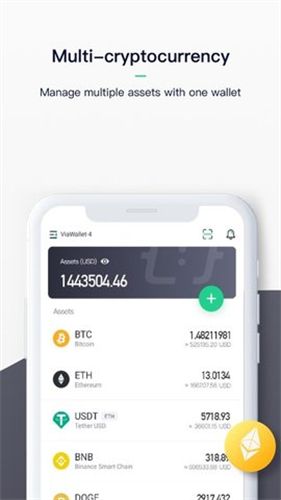 ViaWalletǮ������