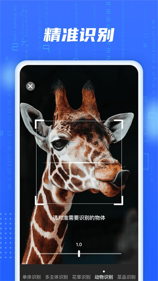 aiɨ