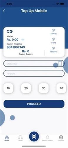 cgpay׿app