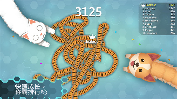 Snakeioʰ氲׿