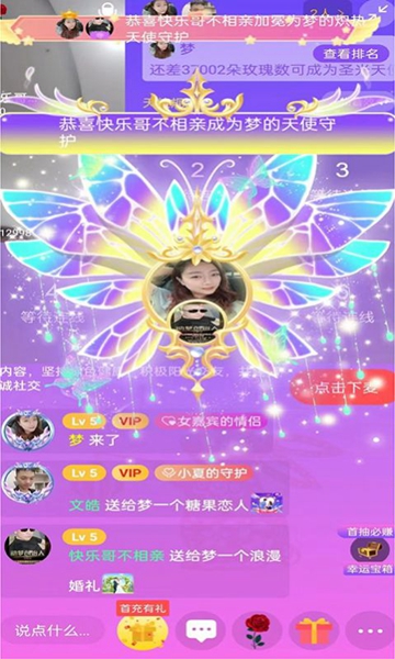 ˫