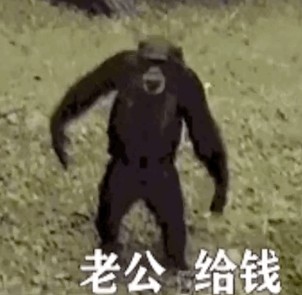 老公给钱表情包