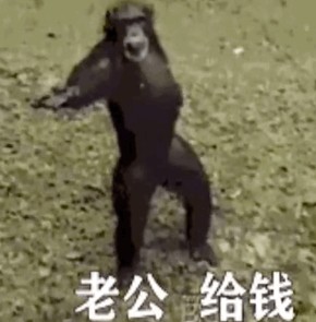 老公给钱表情包