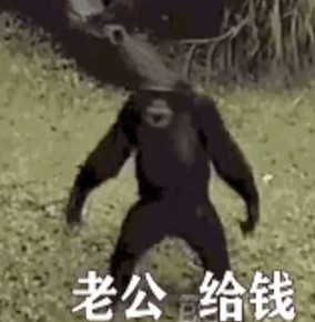 老公给钱表情包