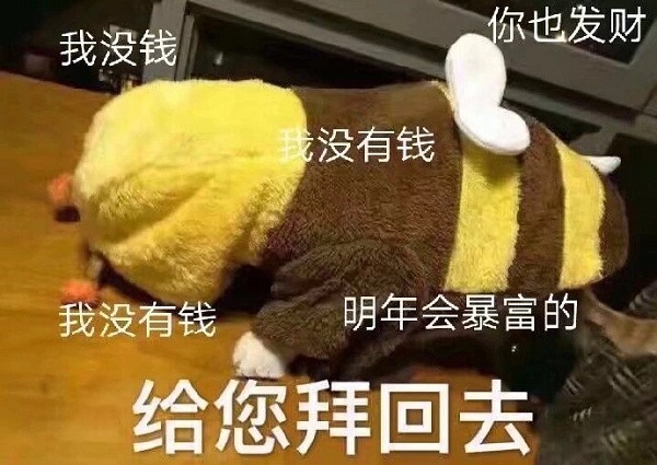 给您拜个早年表情包猫咪