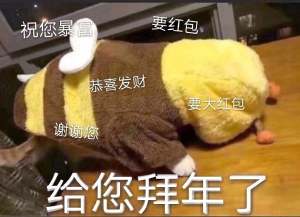 给您拜个早年表情包猫咪