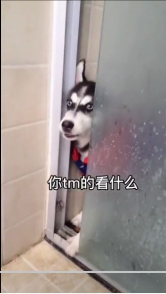 ںΰĭ