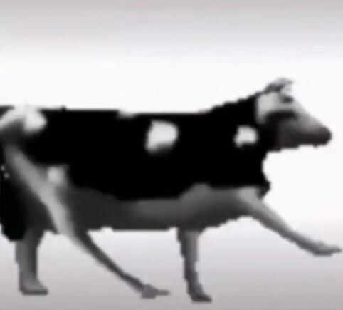 ţ