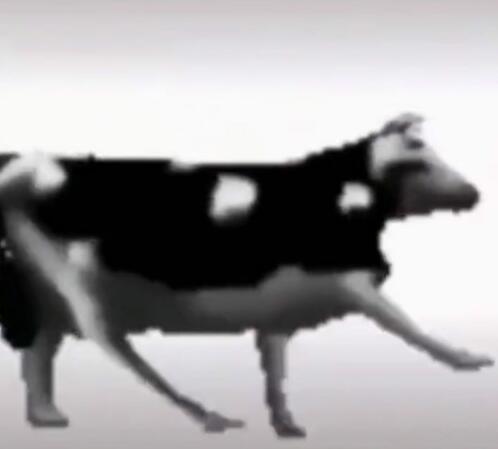 ţ