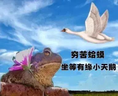 2021ҹп
