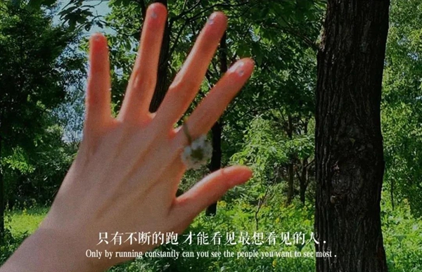Զˮů֪ͼƬ