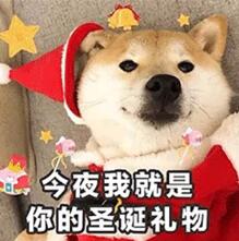 圣诞老人囚禁图片