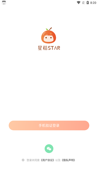 ǽ