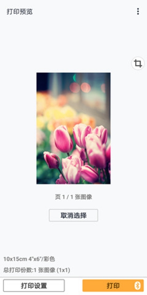ܴӡapp