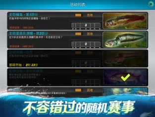 Ծ