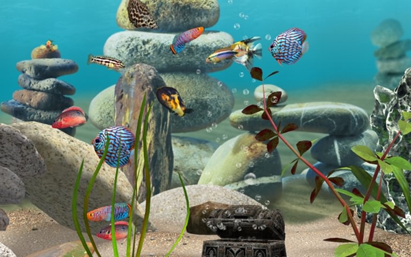 ҵˮ3d