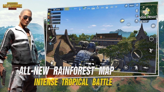 pubgʷ