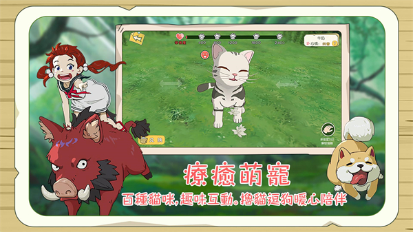 ��Сɭ����