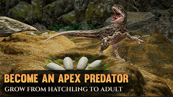 ̩̹֮·�ֻ���