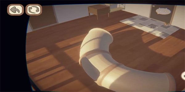 �˴�Ӧ��è����