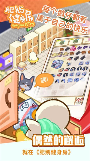 �ʶ콡����������ʯ�ڹ�������