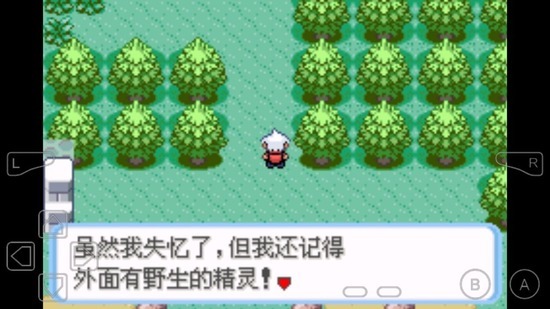 �ڴ���������ľ���ؽ���ָ