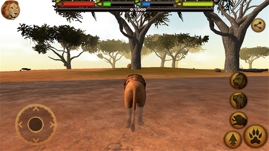 �ռ�ʨ��ģ�������޾��������